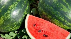 vannmeloner