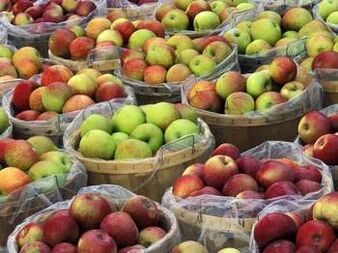 epler for fettforbrenning