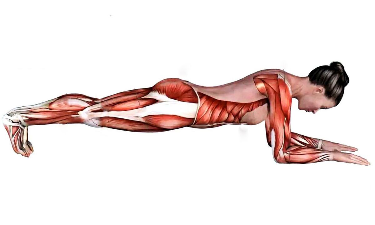 hvilke muskler jobber når planke